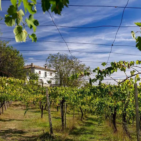 B&B Casina Margherita