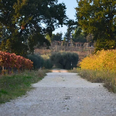 Casina Margherita B&B Castelbasso